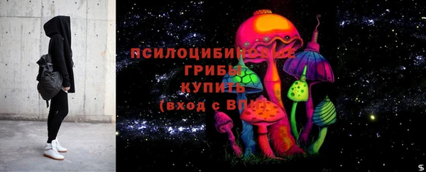 таблы Приозерск