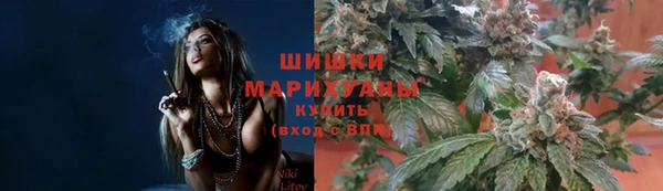 бошки Протвино